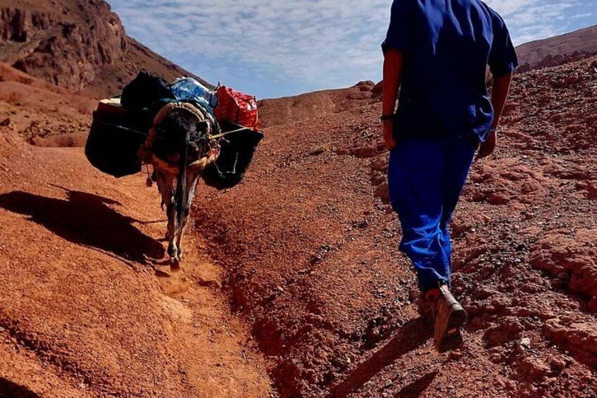 A person walking with a camel in a desert landscape. 5