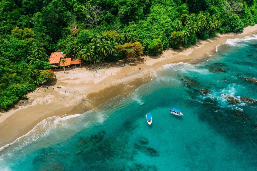 An aerial view of a tropical beach with clear turquoise waters, a sandy shore, and dense green foliage. 1