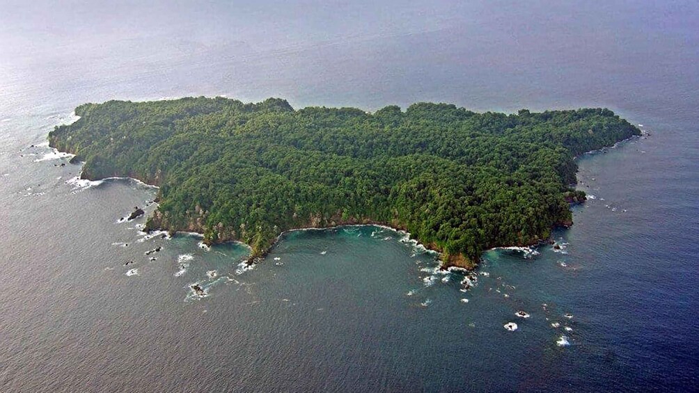 An aerial view of a lush, forested island surrounded by clear blue waters. 4