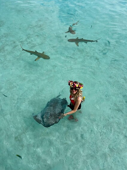 Picture 6 for Activity MOOREA 6H SHARED BOAT TOURS SNORKELING & LUNCH 2