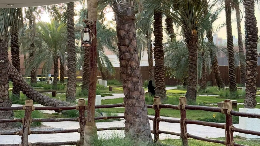 A palm grove with rope-wrapped trees and a wooden fence. 4