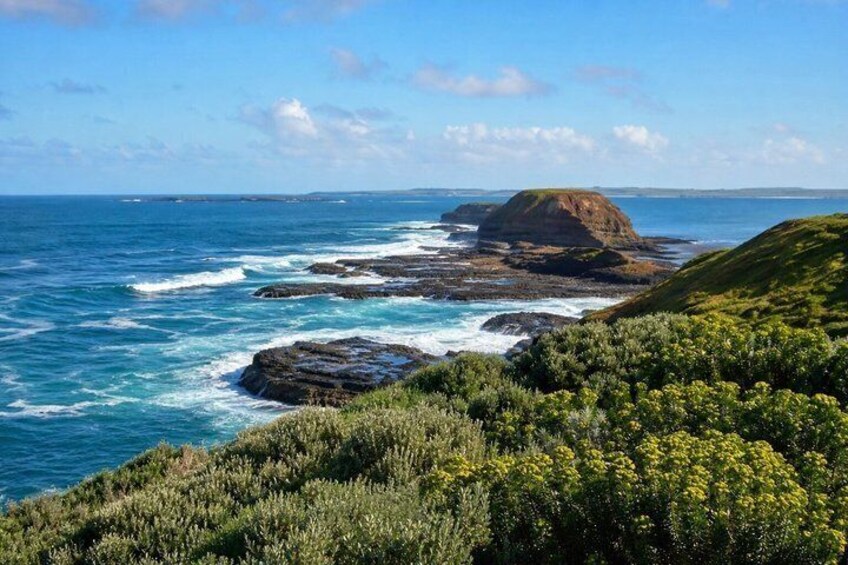 A coastal landscape with rocky outcrops, a grassy hill, and the ocean. 5