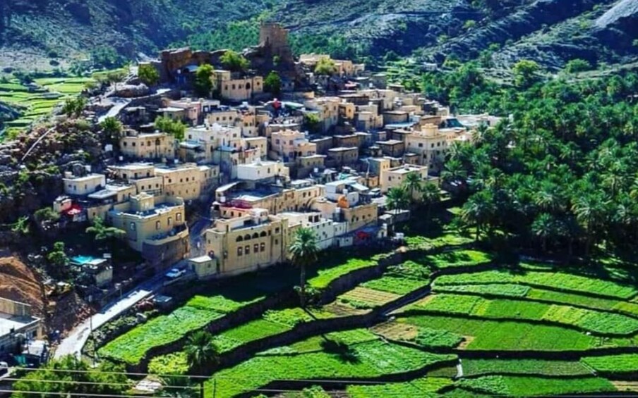 Nakhal, Wadi Bani Awf, Bilad Sayt & Nizwa Full-Day Tour 1