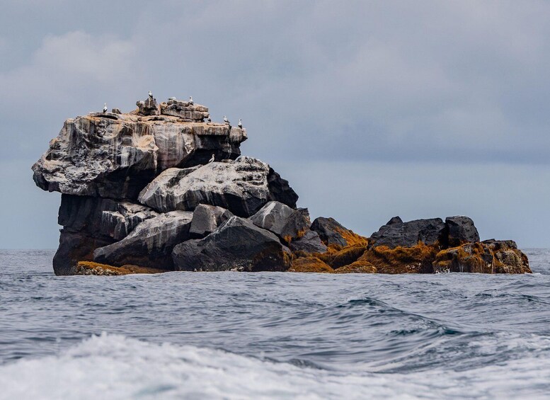 A rocky outcrop with birds perched on it, surrounded by ocean waves. 5