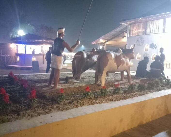 A person leading two oxen in a nighttime setting. 3