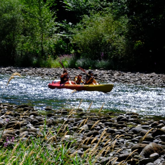 A group of people kayaking on a river surrounded by rocks and greenery. 3