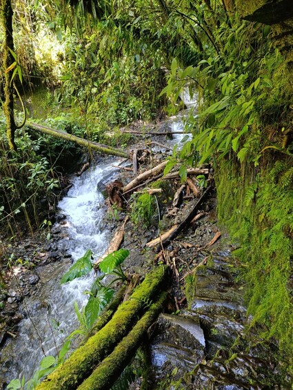 3-Day Hike to El Choro 1