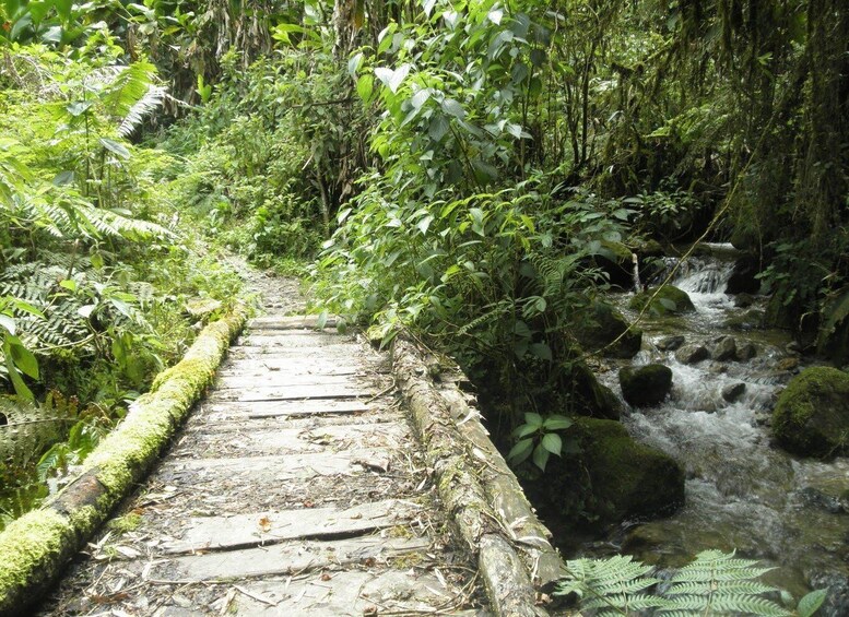Picture 2 for Activity 3-Day Hike to El Choro 4