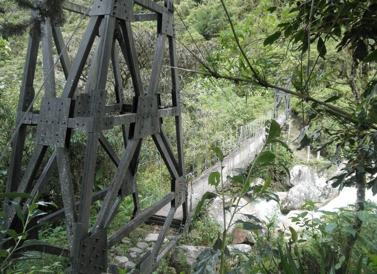 Picture 4 for Activity 3-Day Hike to El Choro 5