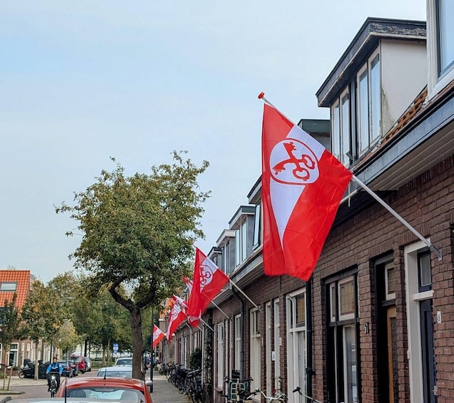 A row of red flags with white symbols on a residential street. 1
