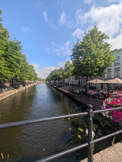 Picture 17 for Activity Discover Leiden: Hidden Golden Age Free Tour English/Spanish 3