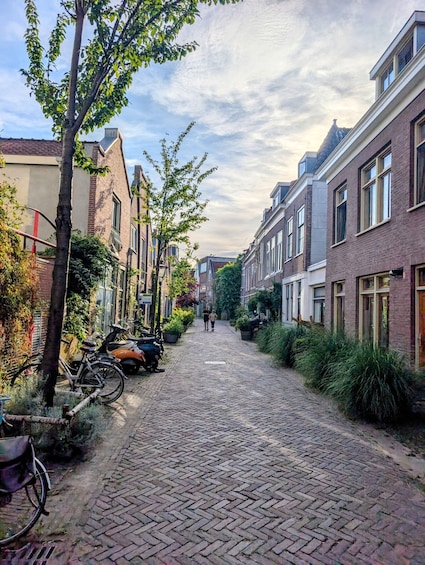 Picture 19 for Activity Discover Leiden: Hidden Golden Age Free Tour English/Spanish 2