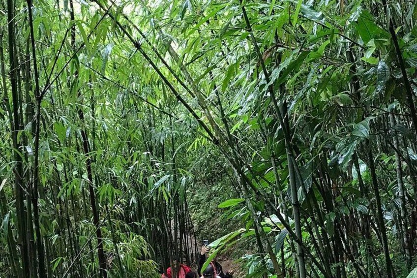Sapa Trek with Hmong Sisters Adventure 2