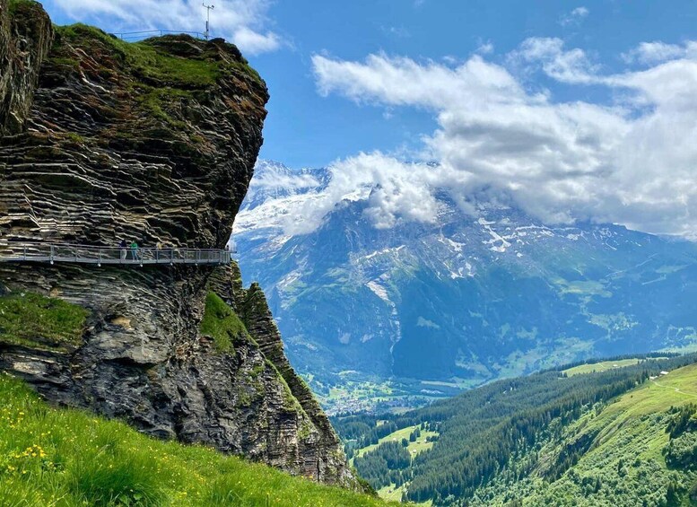 A mountain landscape with a cable car track, a forested valley, and a snow-capped mountain in the background. 3