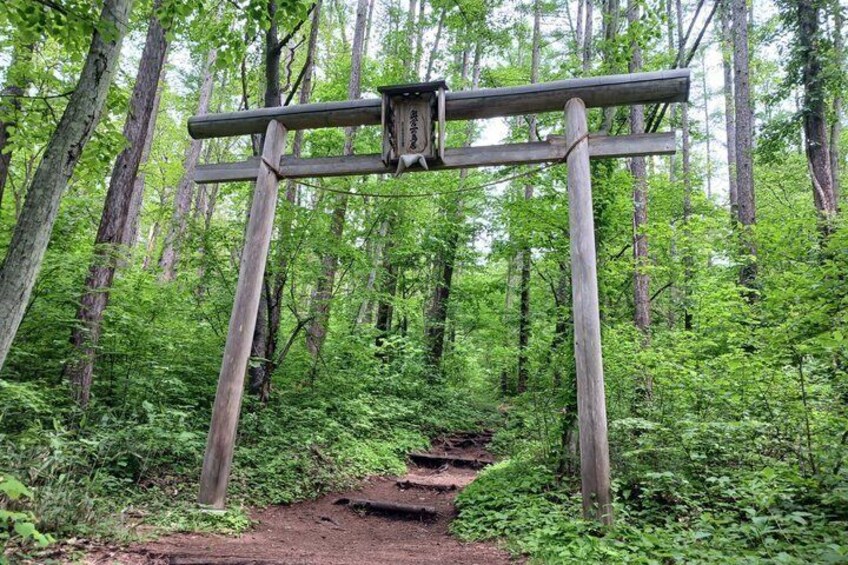 A wooden trail sign in a forest. 1