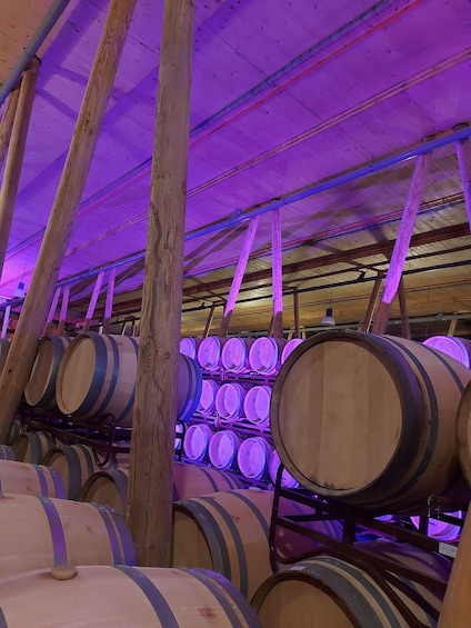 Wooden barrels stacked in a warehouse with a purple-lit ceiling. 4