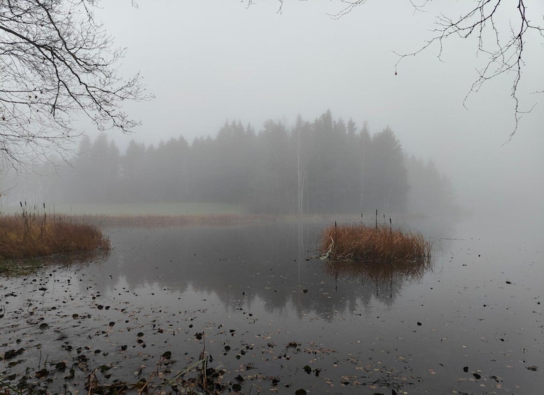 A foggy lake with reflections, surrounded by trees and reeds. 4