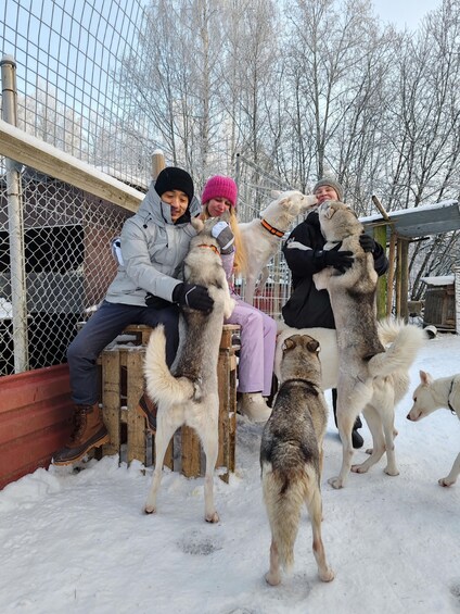 People interacting with large, fluffy dogs in a snowy outdoor setting. 5