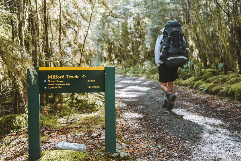 A hiker on a forest trail with a sign indicating directions to Glade House, Milford Track, and Clinton Hut. 1