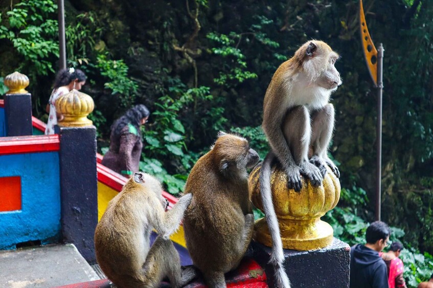 Picture 1 for Activity Kuala Lumpur: Batu Caves, Batik & Pewter Heritage Tour 3