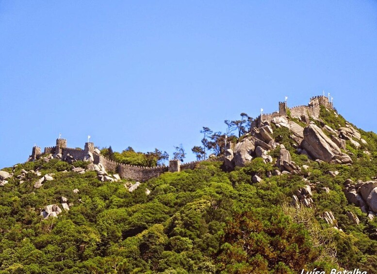 A historic castle on a hill with dense greenery and clear skies. 4