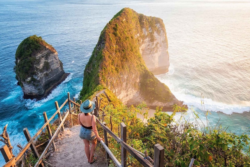 A person standing on a wooden staircase overlooking a coastal cliff with lush greenery and the ocean. 5