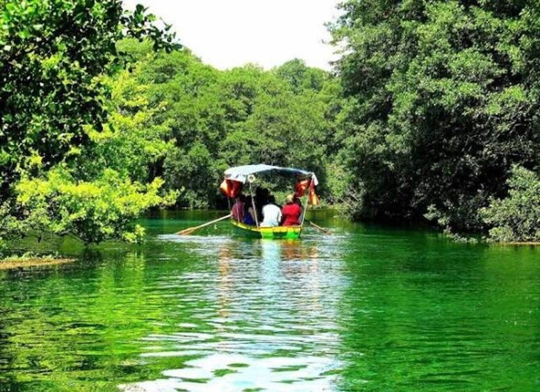 A boat with passengers on a river surrounded by dense greenery. 1