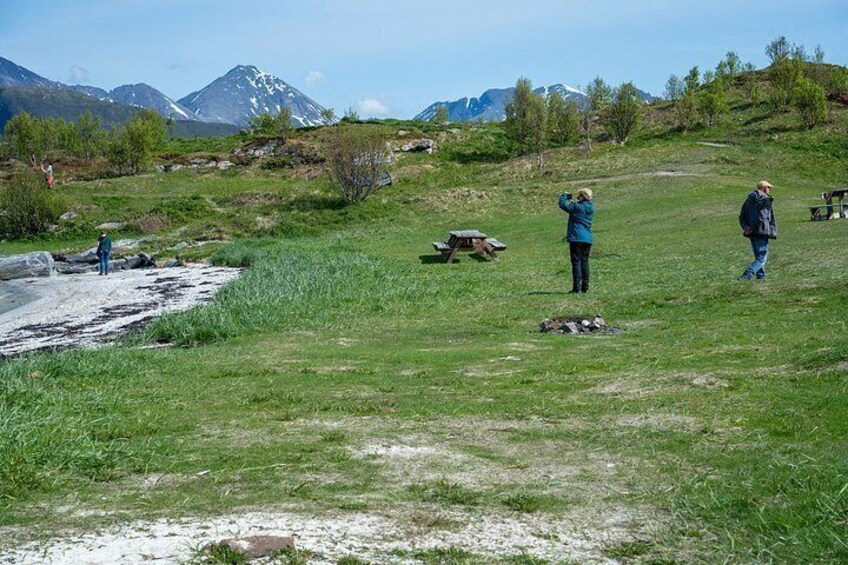 Un prato erboso con persone in piedi e a passeggio, un tavolo da picnic e montagne sullo sfondo. 4