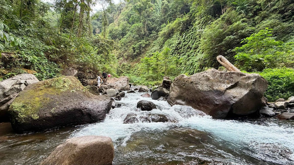 A river flowing through a forested area with large rocks and dense greenery. 2