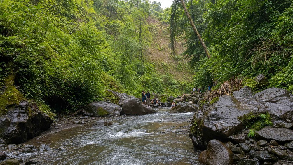 A river flowing through a forested area with people sitting on rocks. 3