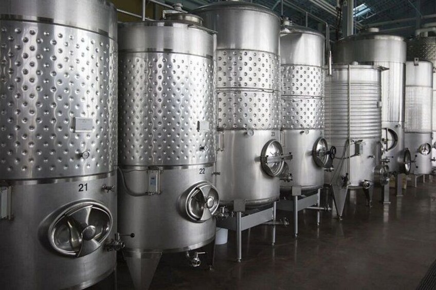 Stainless steel fermentation tanks in a row. 3