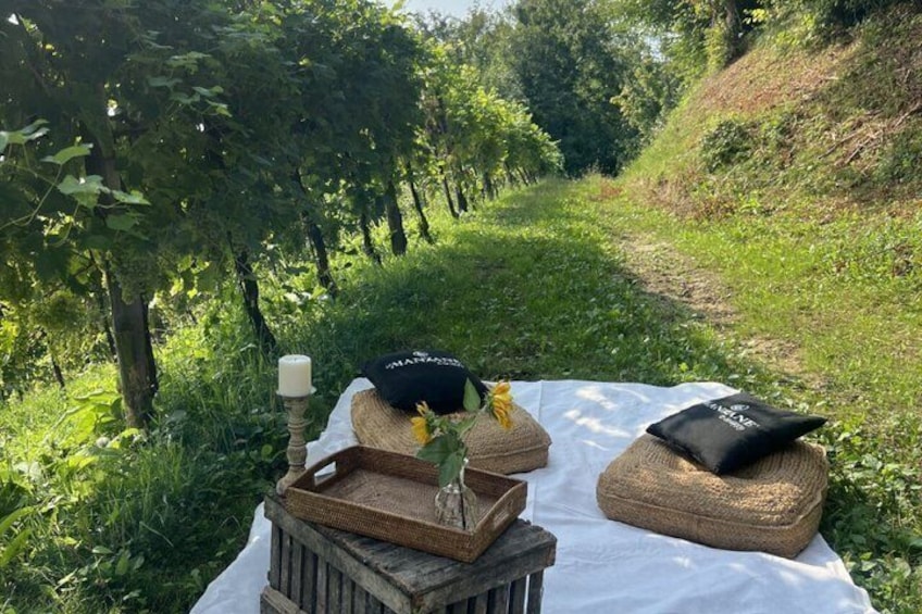Ein Picknick mit Korb, Kissen und Kerze auf einer Decke in einem Weinberg. 3