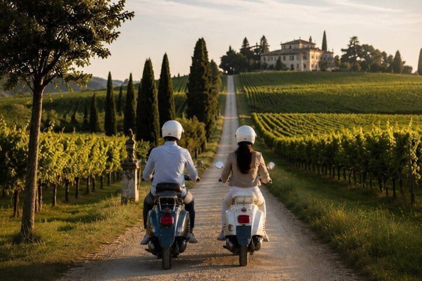 Two people riding motorcycles on a rural road surrounded by vineyards. 1