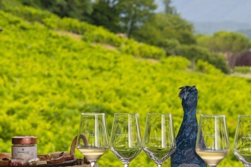 Ein Weinberg mit Reihen grüner Weinreben und leerer Weinkelche, die auf einem Tisch aufgereiht sind. 2