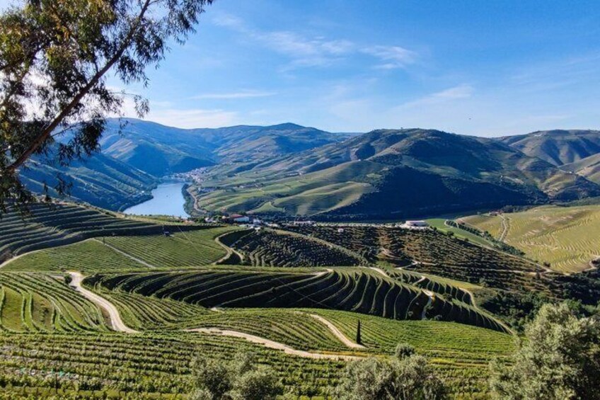 Terraced vineyards, a river, and rolling hills. 5