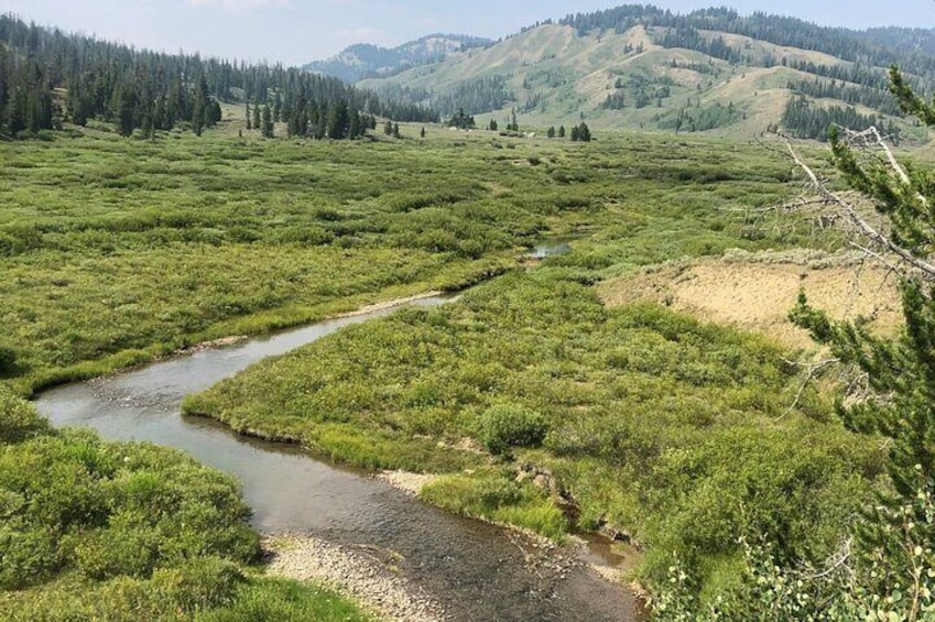 Un fiume serpeggia attraverso una valle verdeggiante, con dolci colline sullo sfondo. 2