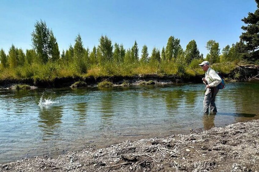 Una persona che pesca in un fiume con alberi sullo sfondo. 1
