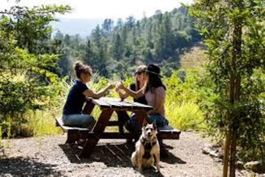 Valdobbiadene: Vineyard Brunch & Prosecco Winery Visit 4