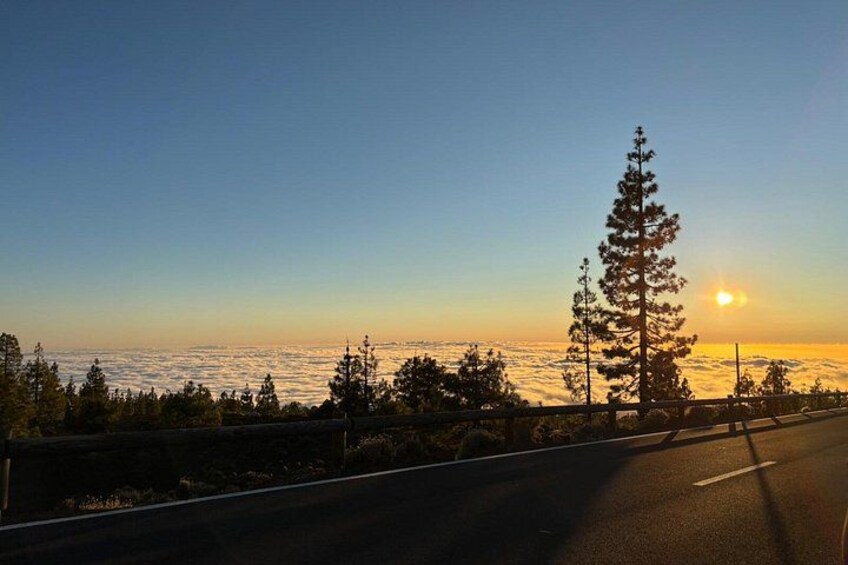Teide National Park Tour by Minibus 3