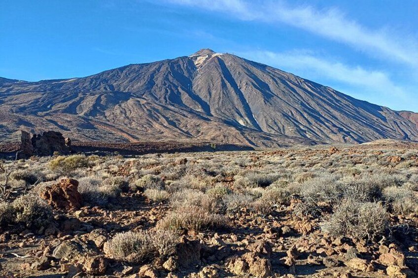 Teide National Park Tour by Minibus 2