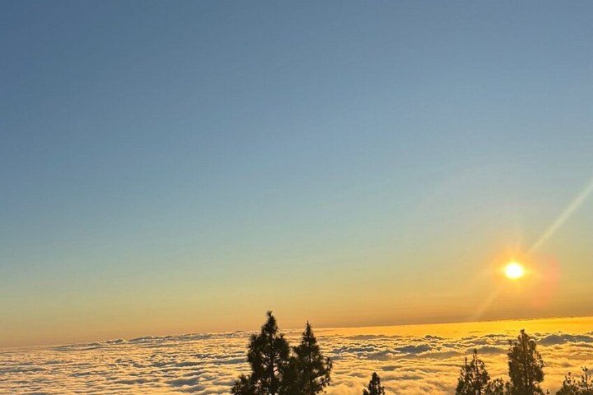 Teide National Park Tour by Minibus 4