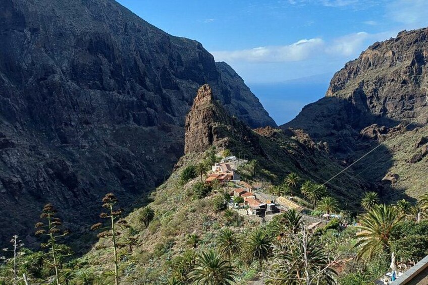Teide National Park Tour by Minibus 1