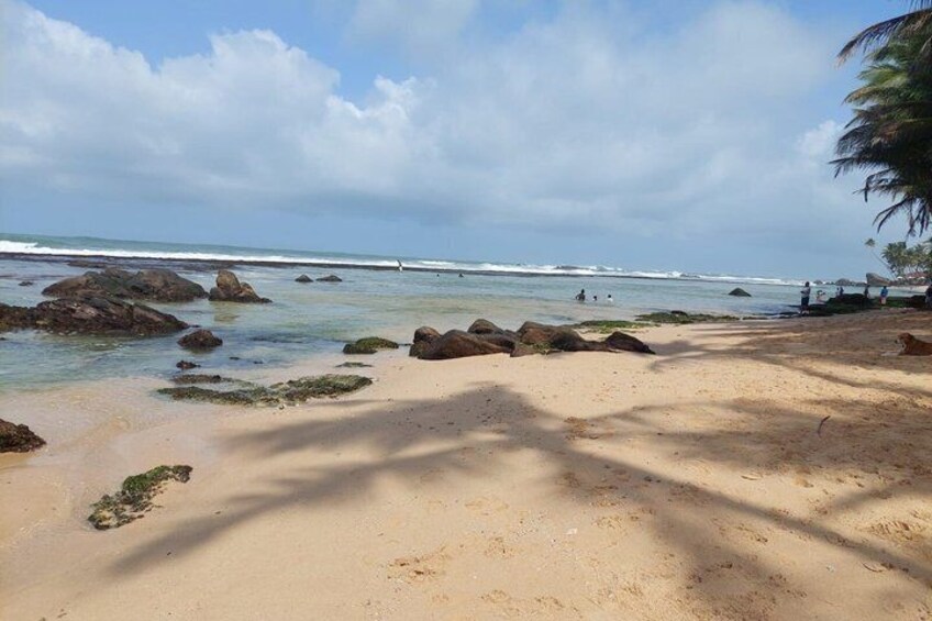 Una playa con agua cristalina, rocas y palmeras. 3