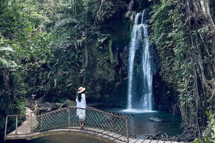 Eine Person steht auf einer Brücke über einem Wasserfall in einem bewaldeten Gebiet. 3