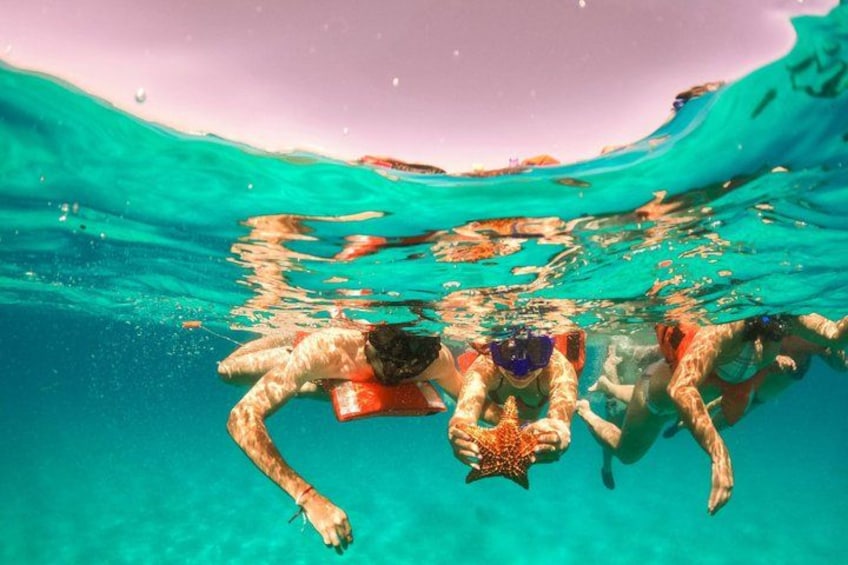 Persone che nuotano sott'acqua con maschera e pinne. 3