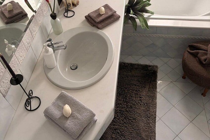 A bathroom with a sink, mirror, towel, and a plant. 3