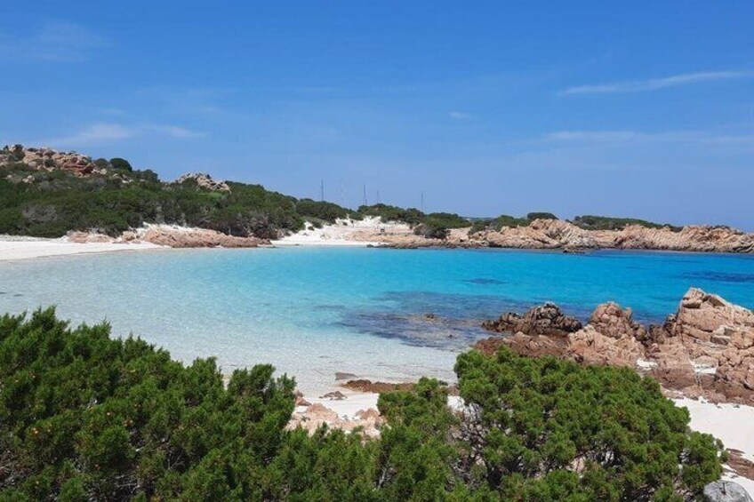 Un paisaje costero con aguas turquesas cristalinas, playas arenosas, afloramientos rocosos y densas coníferas verdes. 3