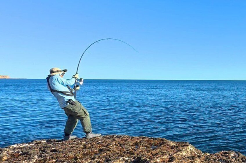 Colombo Beach Fishing with Fishing Rod 1