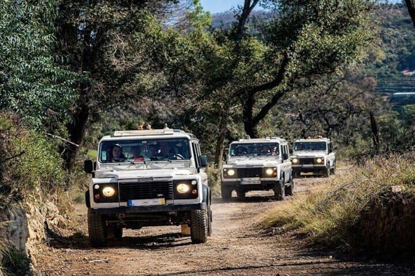 Three off-road vehicles on a dirt path surrounded by trees. 1