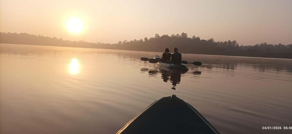 Picture 8 for Activity Mirissa: Kayaking & Bird watching Experience 4